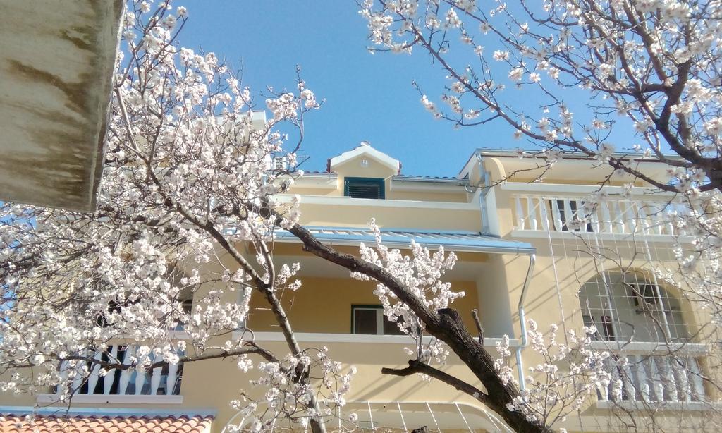 Apartments Meri Водице Экстерьер фото